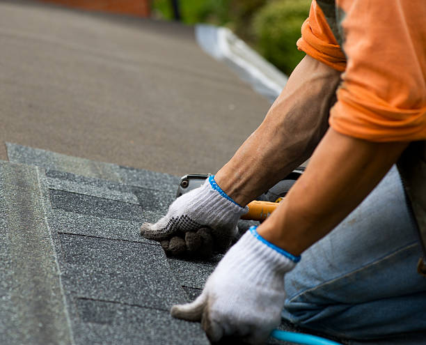 Quick and Trustworthy Emergency Roof Repair Services in London, CA